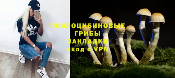 амф Алексин